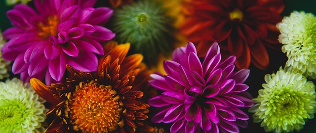 术点清单
