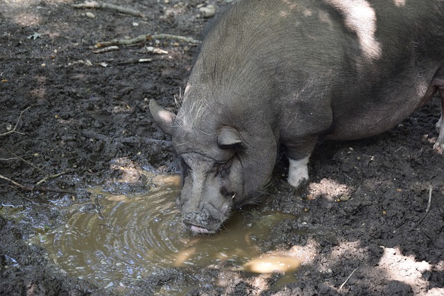 拉扯了对手 拉扯了对手