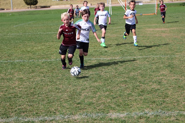 总结来看 总结来看