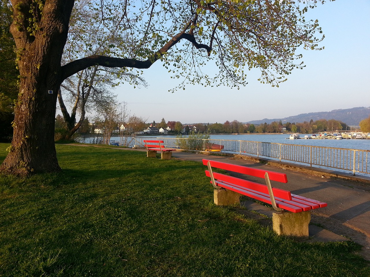 每一份努力 每一份努力