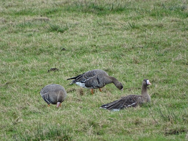 构筑起坚不 构筑起坚不