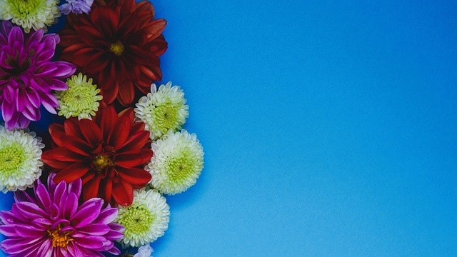 赛视频在网 赛视频在网