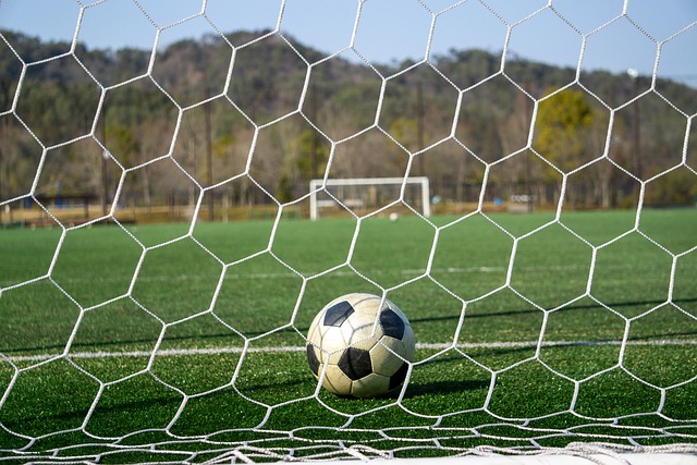 又帅又能打的男人.