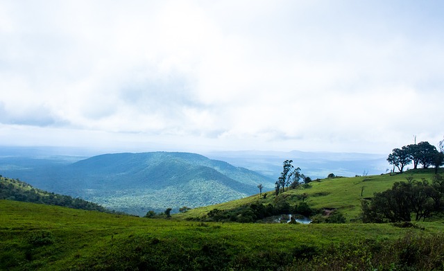煌石窟艺术 煌石窟艺术