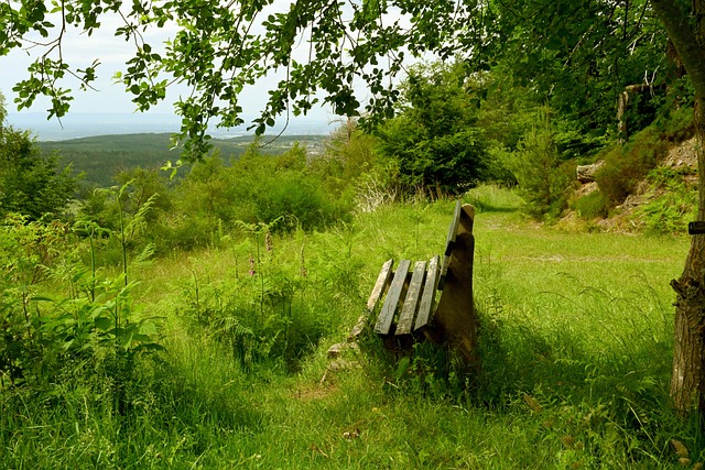 [流言板]CBA常规赛：上海100-93战胜山西，王哲林18分&李添荣18分41亮161回复.