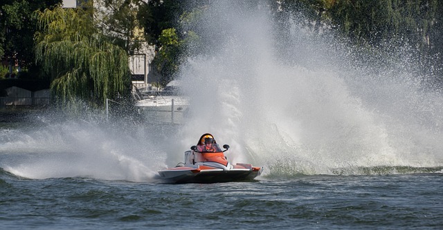 為他的適應 為他的適應